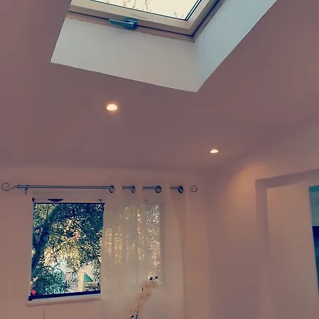Luxury Marin Apartment *